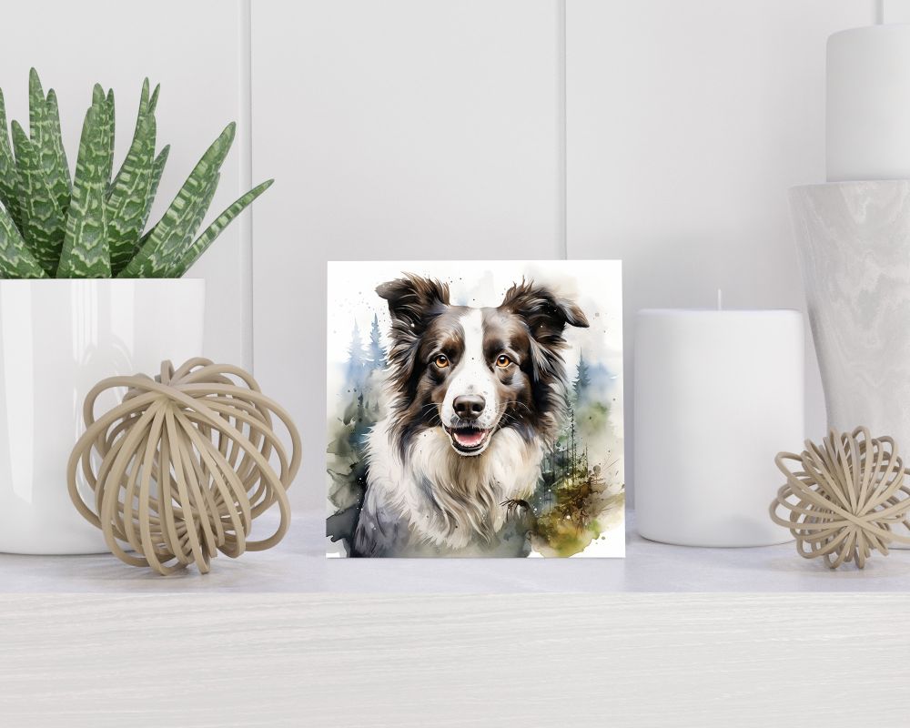 Tegel 15x15 cm Border Collie