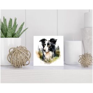 Tegel 15x15 cm Border Collie