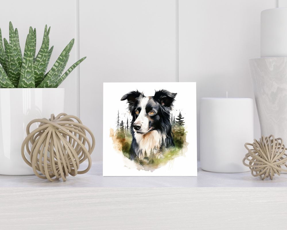 Tegel 15x15 cm Border Collie