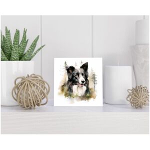 Tegel 15x15 cm Border Collie