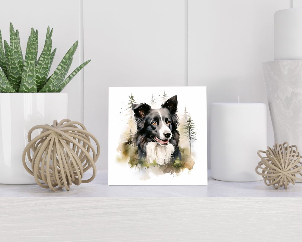 Tegel 15x15 cm Border Collie