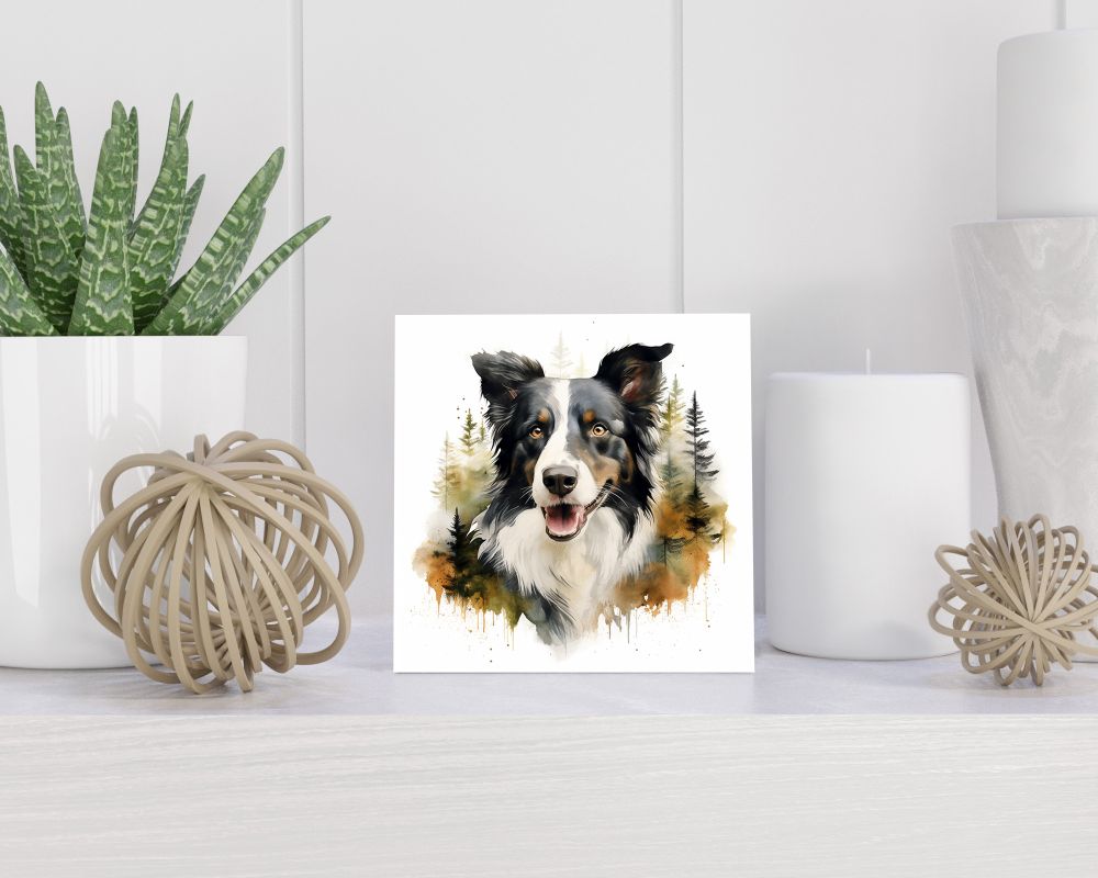 Tegel 15x15 cm Border Collie