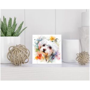 Tegel 15x15 cm Maltese Dog