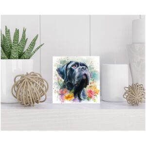 Tegel 15x15 cm Napolitaanse Mastiff