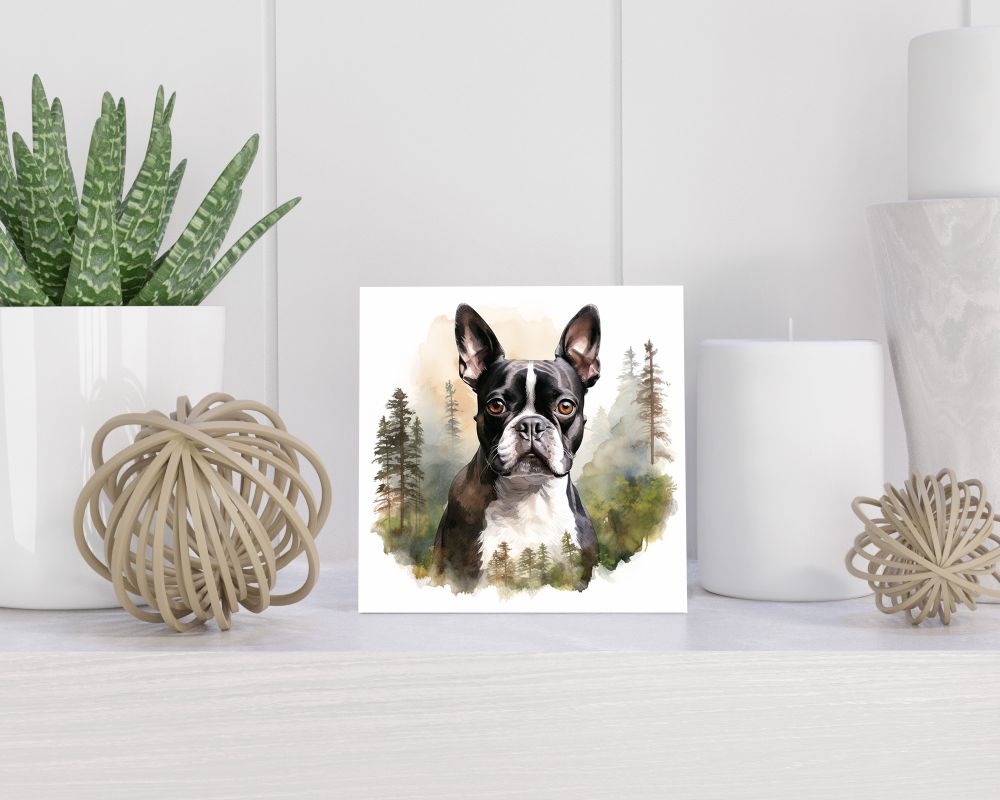 Tegel 15x15 cm Boston Terrier