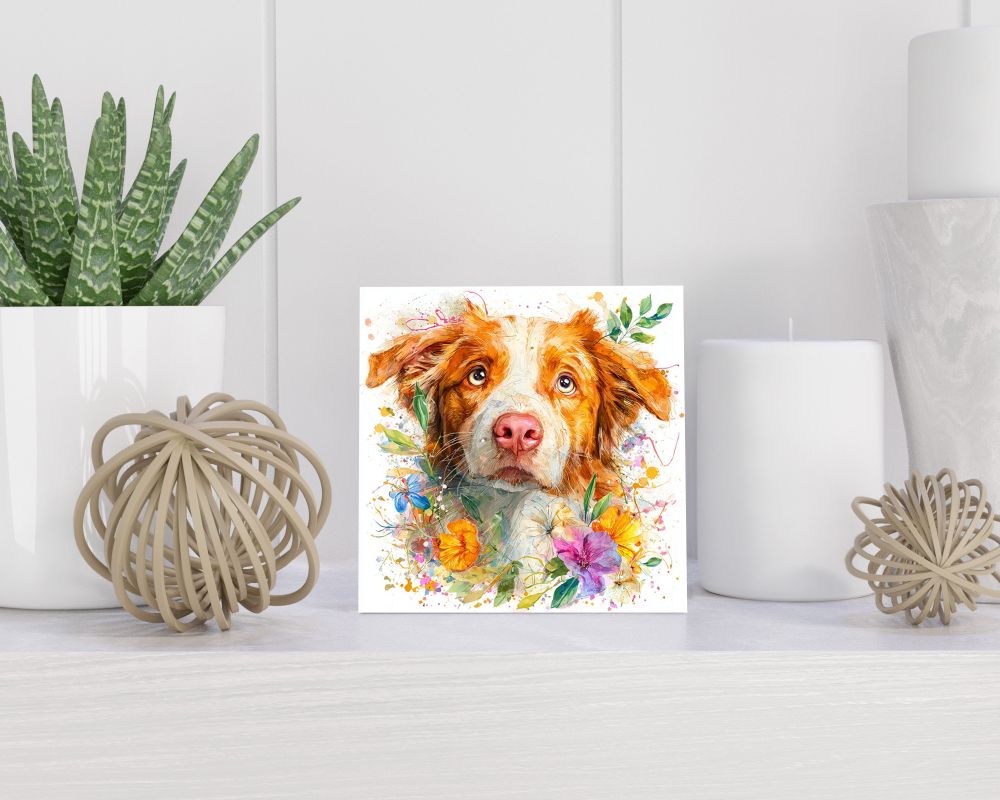 Tegel 15X15 Cm Met Nova Scotia Duck Tolling Retriever Cadeau Decoratie | Tegeltjes Met Tekst | Tegeltjes Met Spreuken | Collega | Oma | Opa | Pensioen | Mama | Papa | Vriend Tegel 15x15 cm Nova Scotia Duck Tolling Retriever