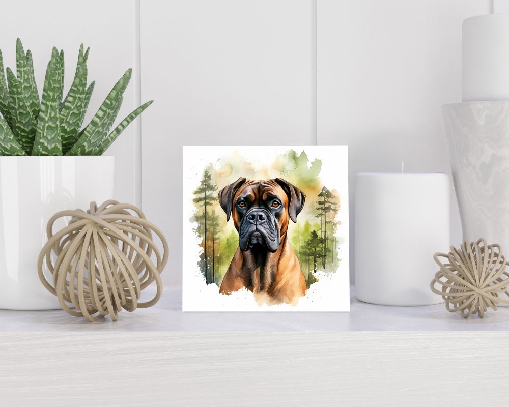Tegel 15x15 cm Boxer