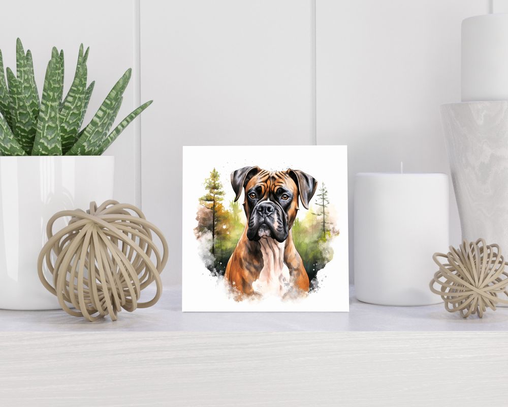 Tegel 15x15 cm Boxer