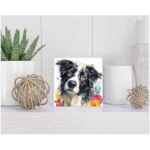 Tegel 15x15 cm Border Collie
