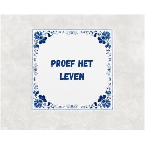 Spreuk tegel 15x15cm Proef het leven