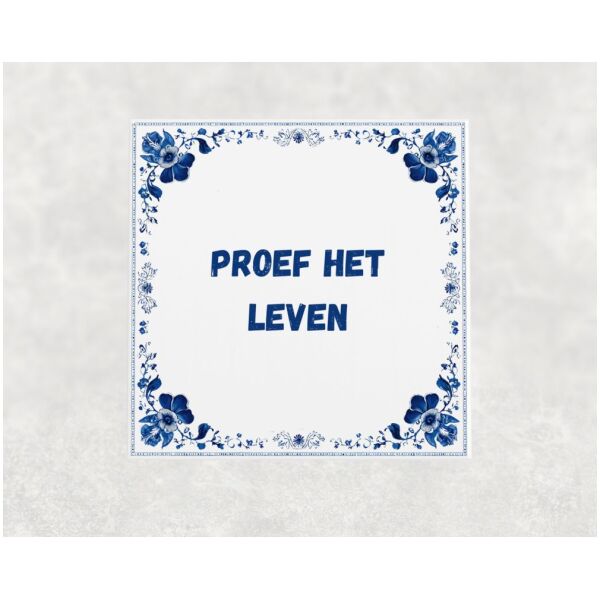 Spreuk tegel 15x15cm Proef het leven