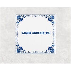 Spreuk tegel 15x15cm Samen groeien wij