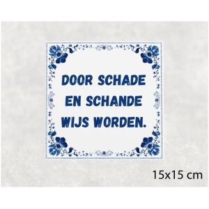 Spreuk tegel 15x15cm Door schade en schande wijs worden