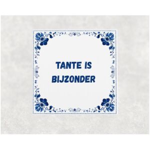 Spreuk tegel 15x15cm Tante is bijzonder