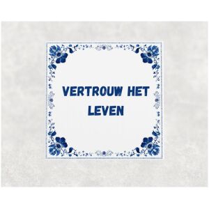 Spreuk tegel 15x15cm Vertrouw het leven