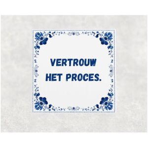 Spreuk tegel 15x15cm Vertrouw het proces ()