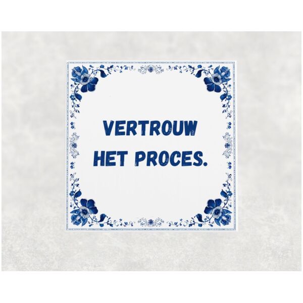 Spreuk tegel 15x15cm Vertrouw het proces ()