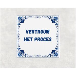 Spreuk tegel 15x15cm Vertrouw het proces