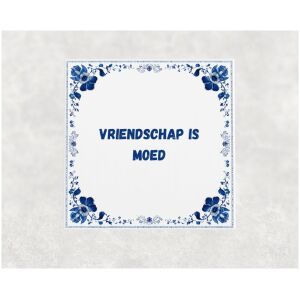 Spreuk tegel 15x15cm Vriendschap is moed