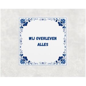 Spreuk tegel 15x15cm Wij overleven alles